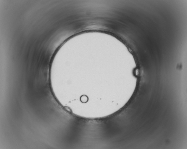 X0000110961322200906191303