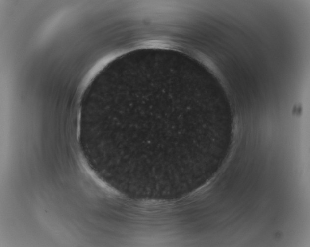 X0000110961323200906191303