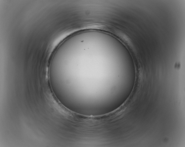X0000110961324200906191303