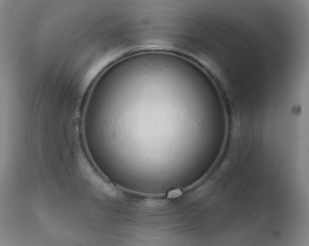 X0000110961325200906191303