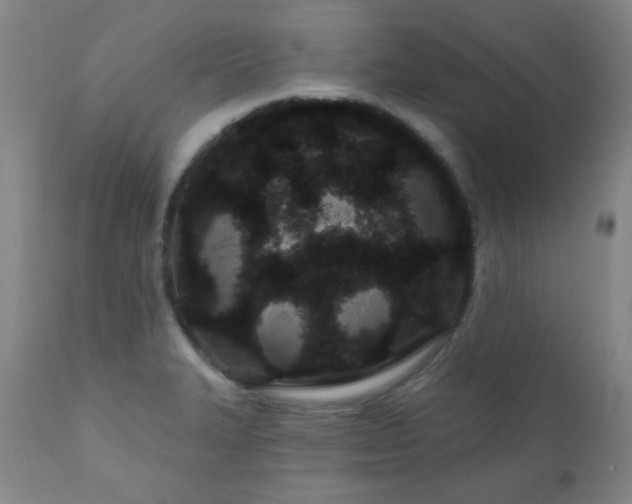 X0000110961327200906191303