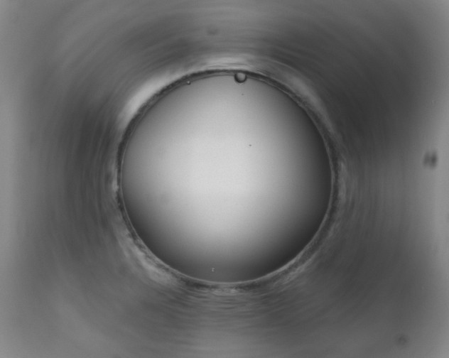 X0000110961328200906191303