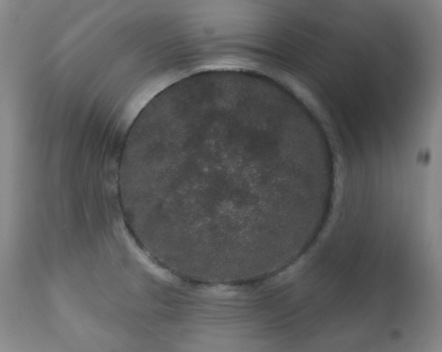 X0000110961329200906191303