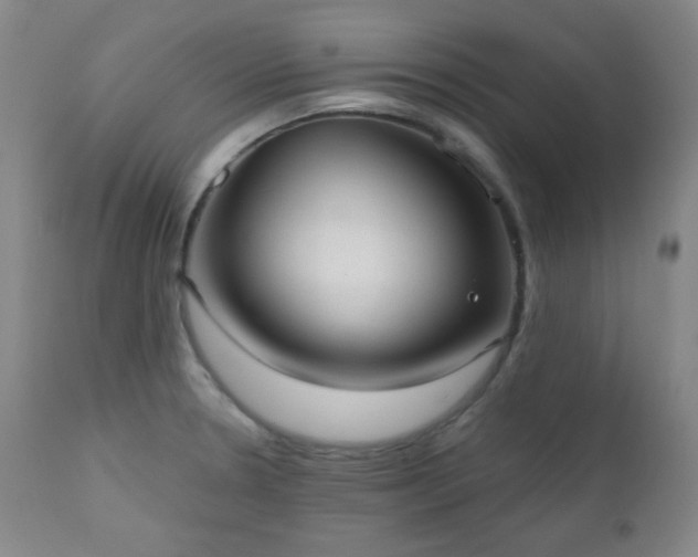 X0000110961330200906191303