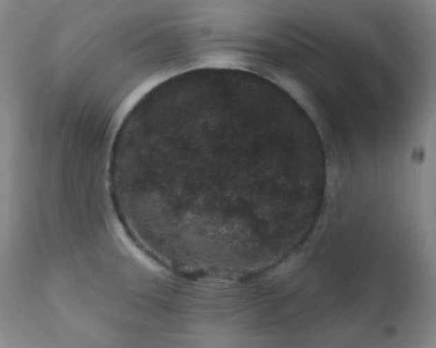 X0000110961331200906191303