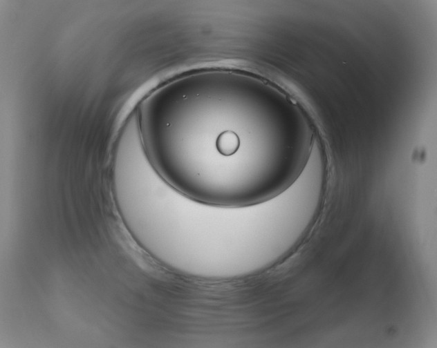 X0000110961332200906191303