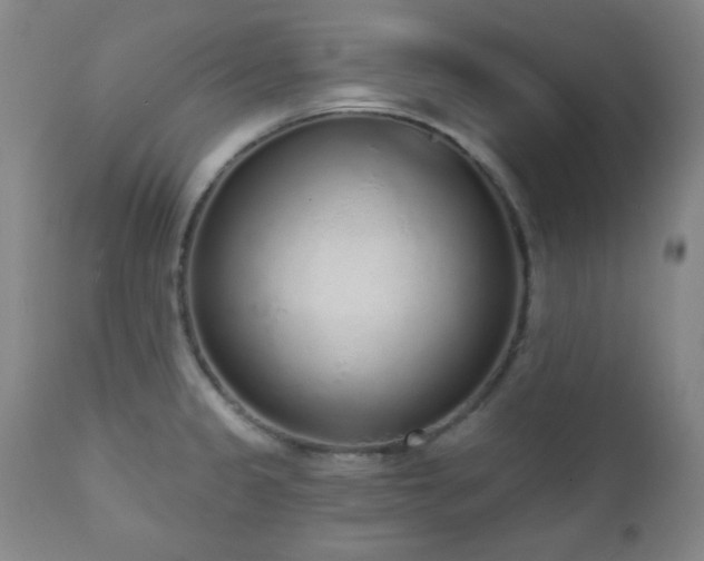 X0000110961333200906191303