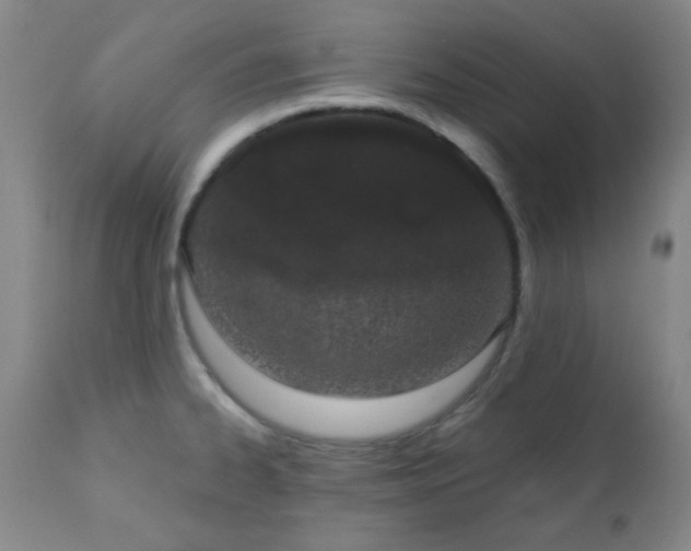 X0000110961334200906191303