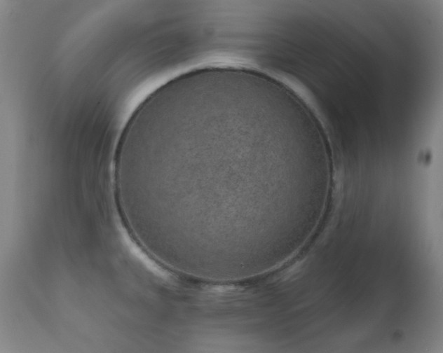 X0000110961335200906191303