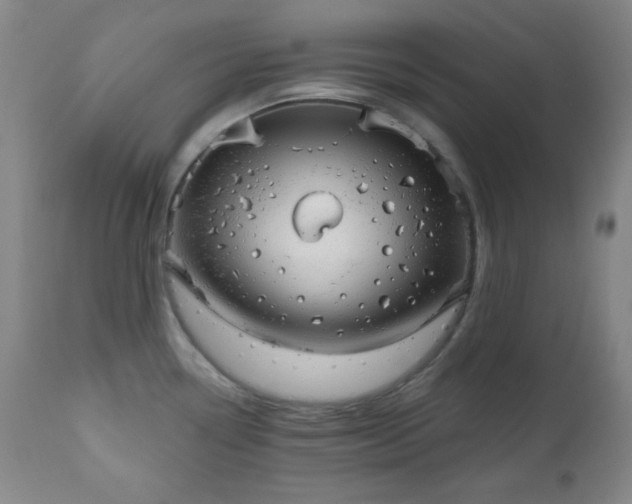 X0000110961338200906191303