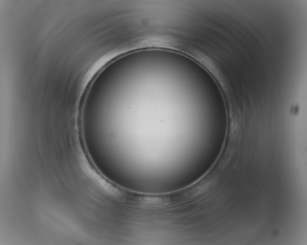 X0000110961339200906191303