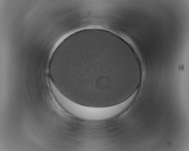 X0000110961340200906191303