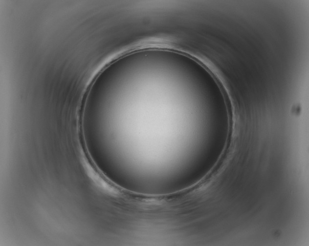 X0000110961341200906191303