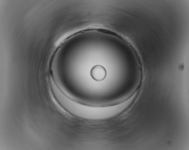 X0000110961342200906191303