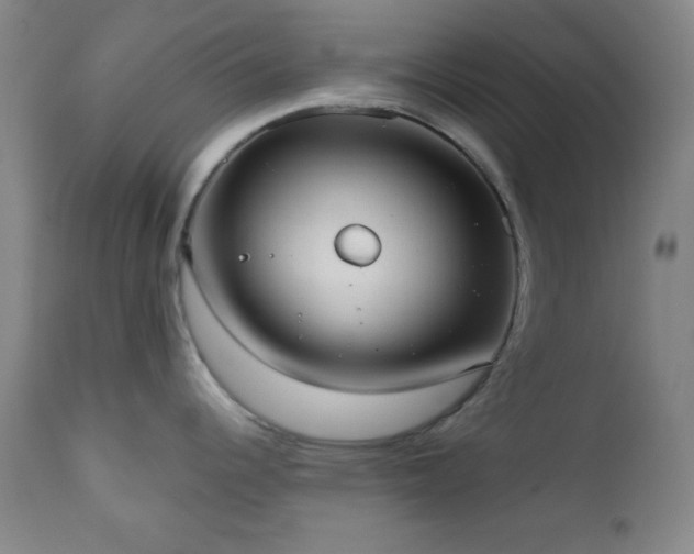 X0000110961344200906191303