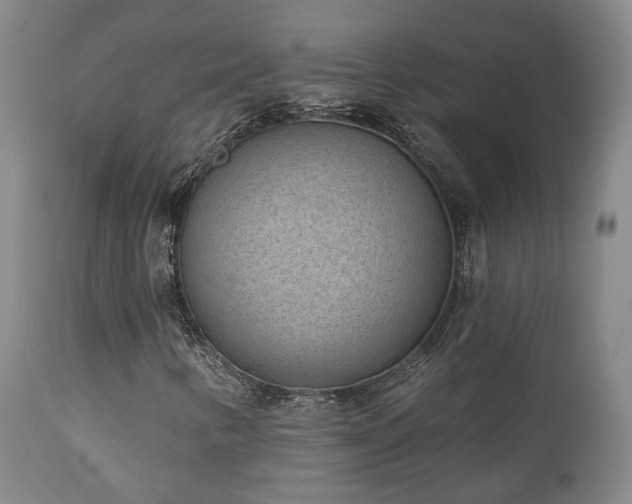 X0000110961346200906191302