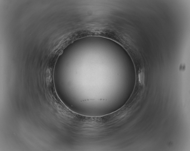 X0000110961347200906191302