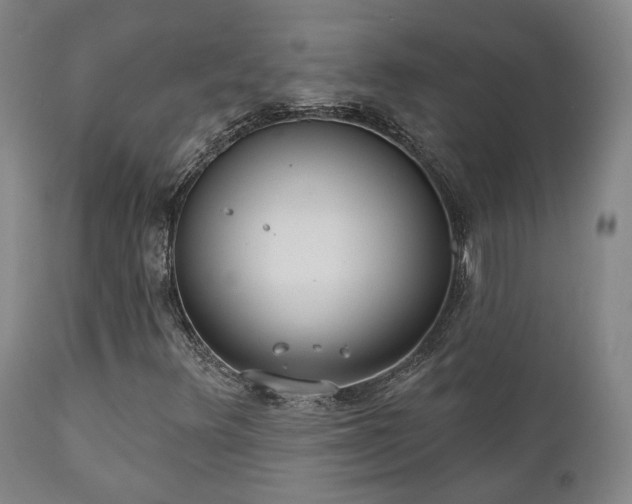 X0000110961348200906191302