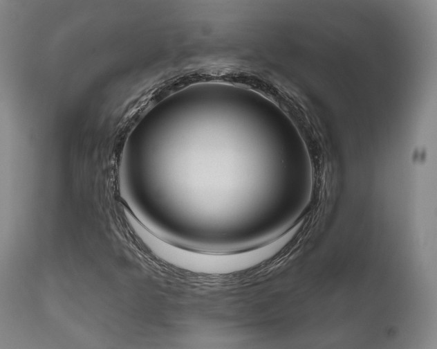 X0000110961349200906191302