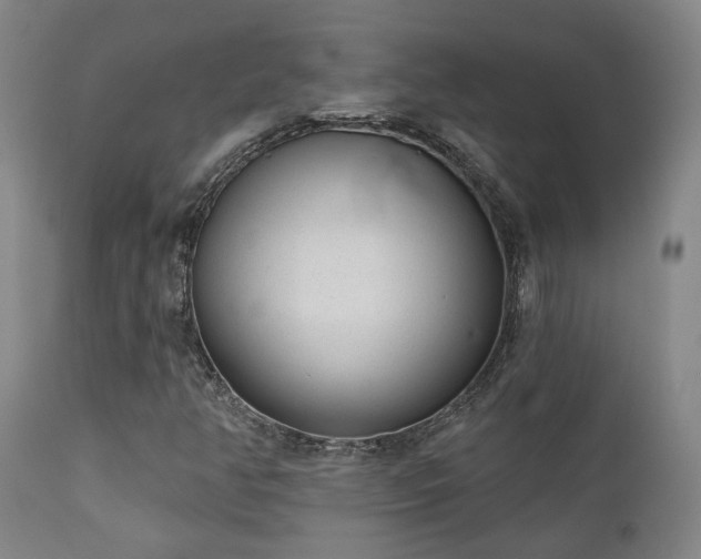 X0000110961350200906191302