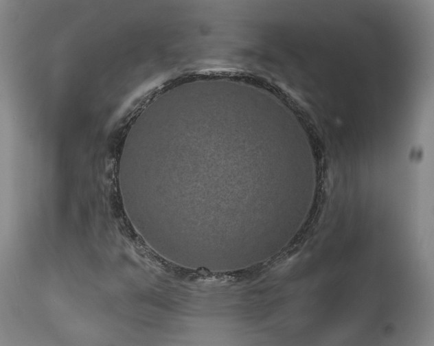 X0000110961351200906191302