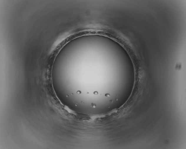 X0000110961352200906191302