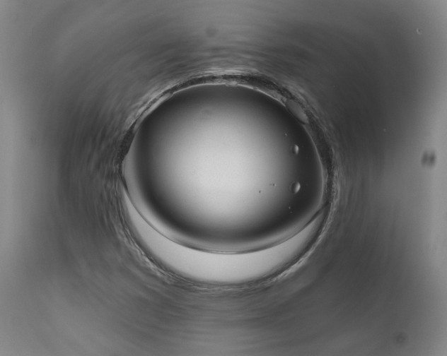 X0000110961353200906191302