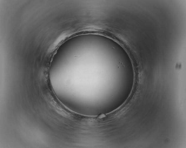 X0000110961355200906191302