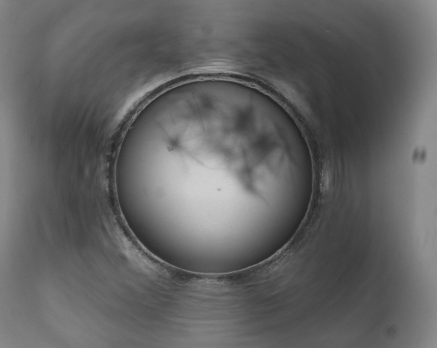 X0000110961356200906191302