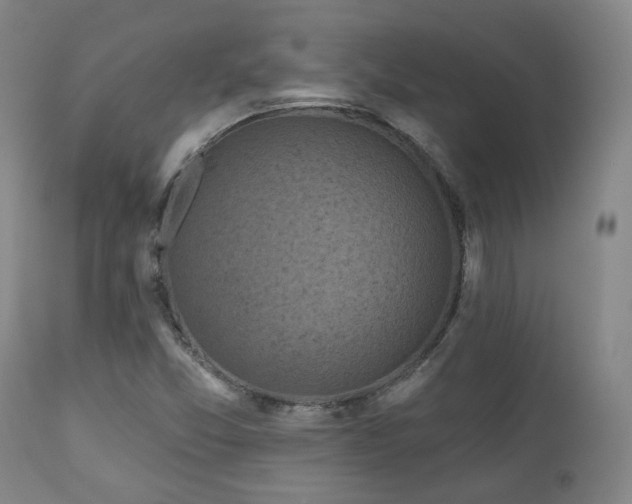 X0000110961357200906191302