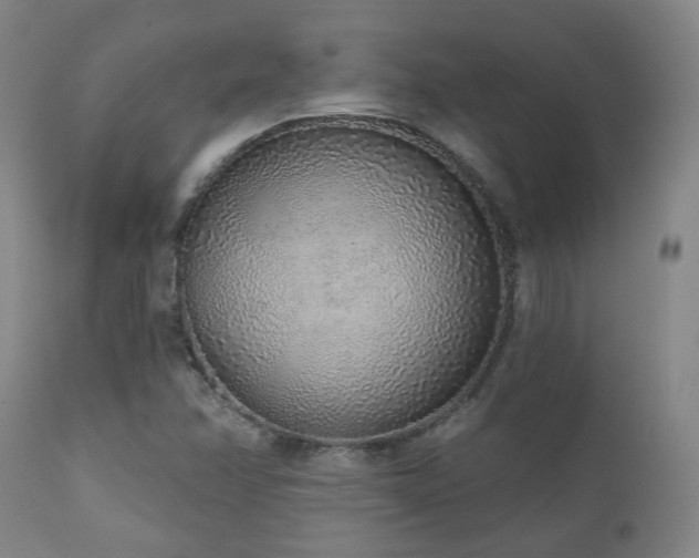 X0000110961358200906191302