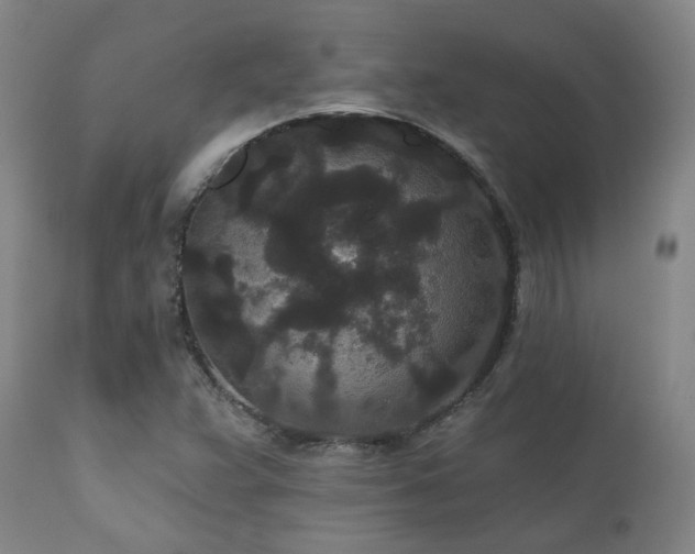 X0000110961359200906191302