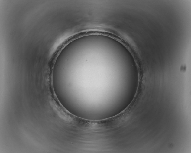 X0000110961360200906191302