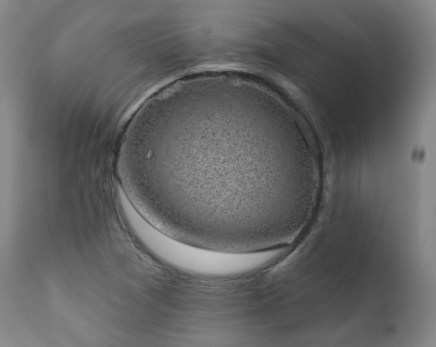 X0000110961361200906191302