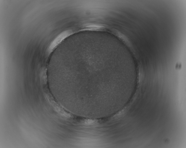 X0000110961362200906191302