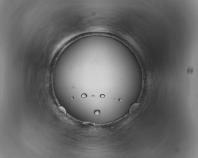 X0000110961364200906191302