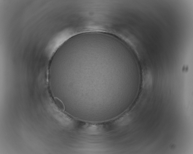 X0000110961365200906191302