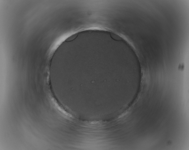 X0000110961367200906191302