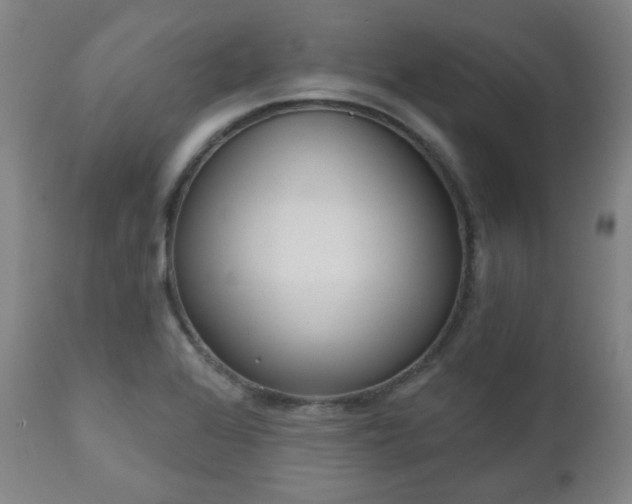 X0000110961368200906191302