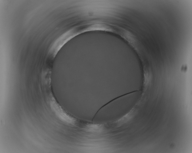 X0000110961369200906191302