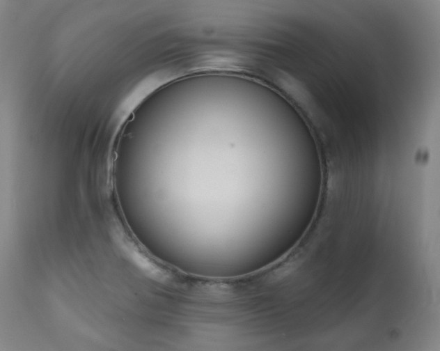 X0000110961370200906191302