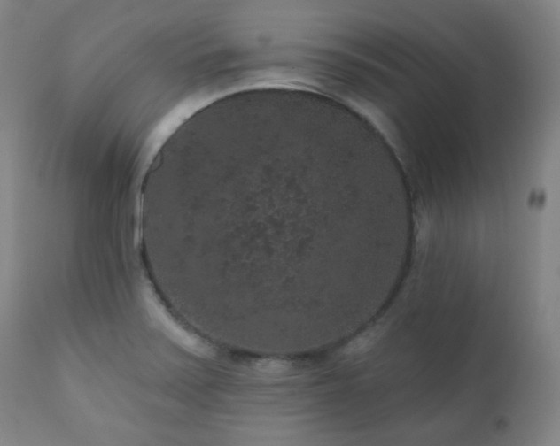 X0000110961371200906191302