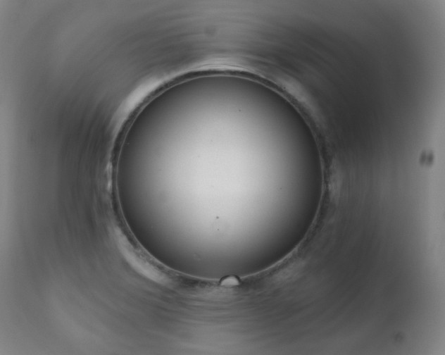X0000110961372200906191302
