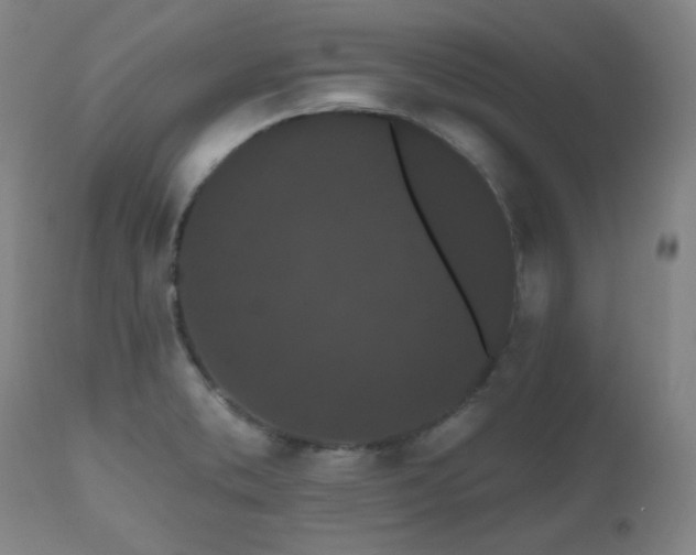 X0000110961373200906191302