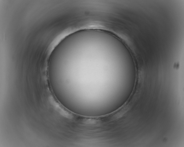 X0000110961374200906191302