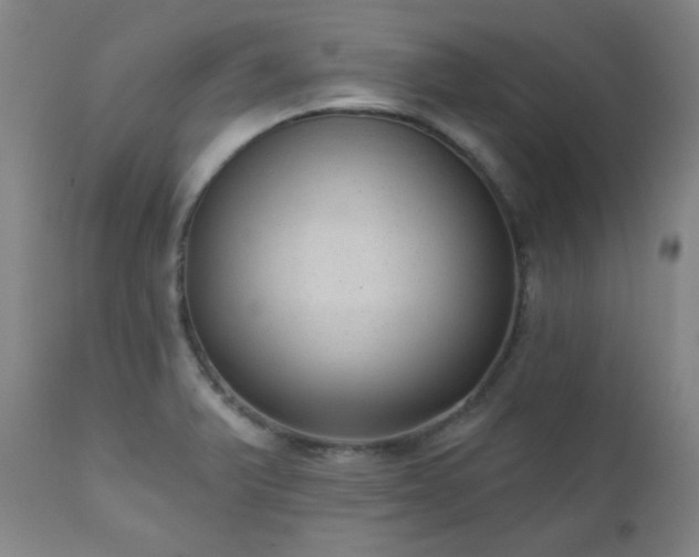 X0000110961375200906191302