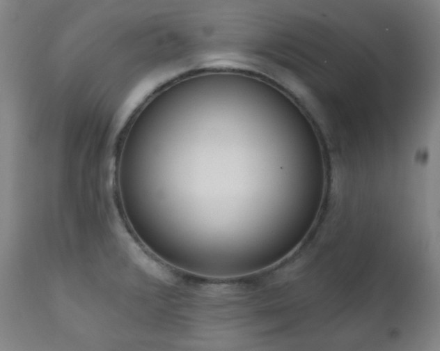 X0000110961376200906191302