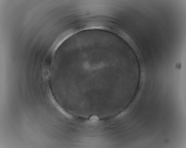 X0000110961377200906191302