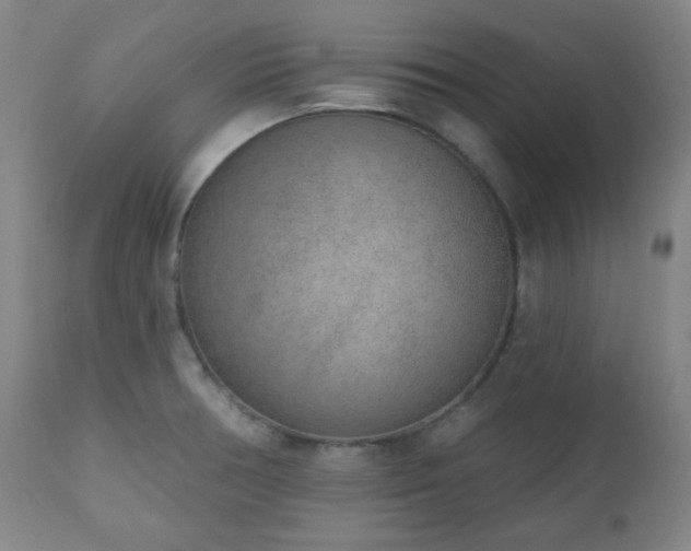 X0000110961378200906191302