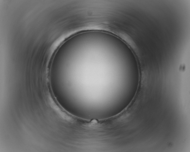 X0000110961380200906191302